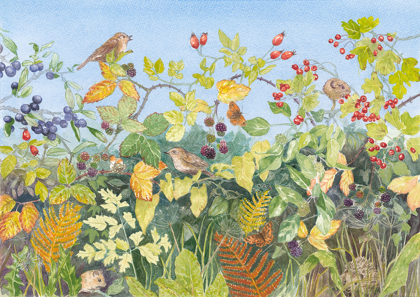 Hedgerow I - webfile