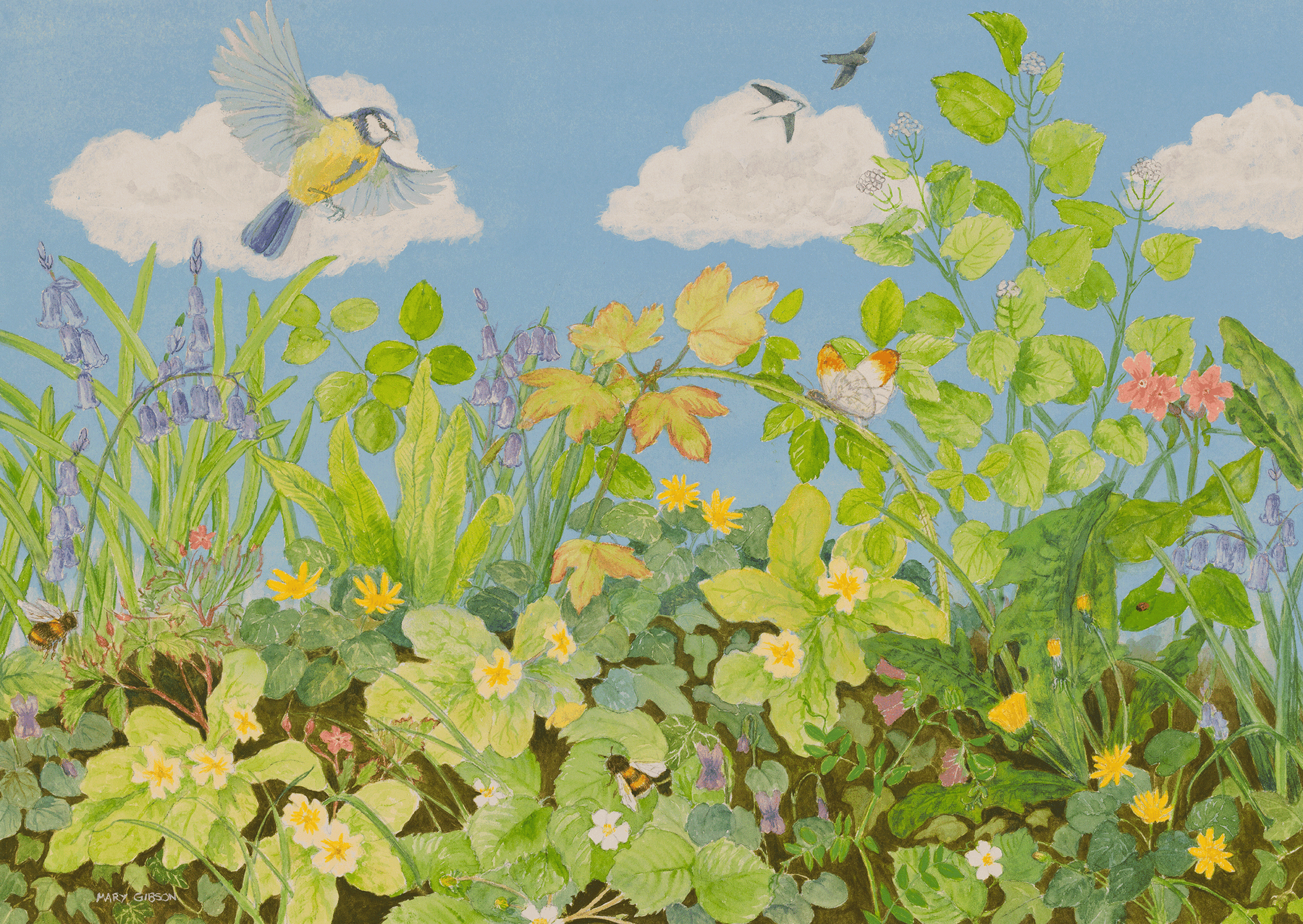'Spring promise'. Original water colour and gouache on paper. Size W40 x H30cms. Including wooden frame, £245. Print £33.